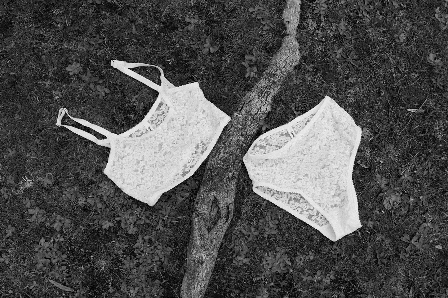 Daniella Knickers White Resurrection Lace