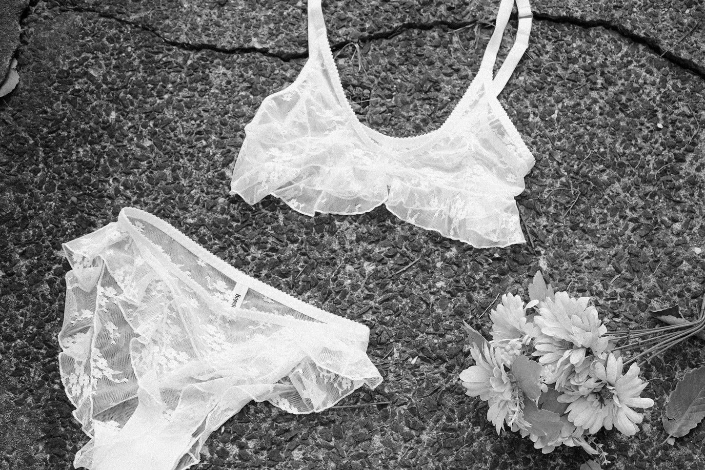 Mary Celeste Cami White Clover Lace