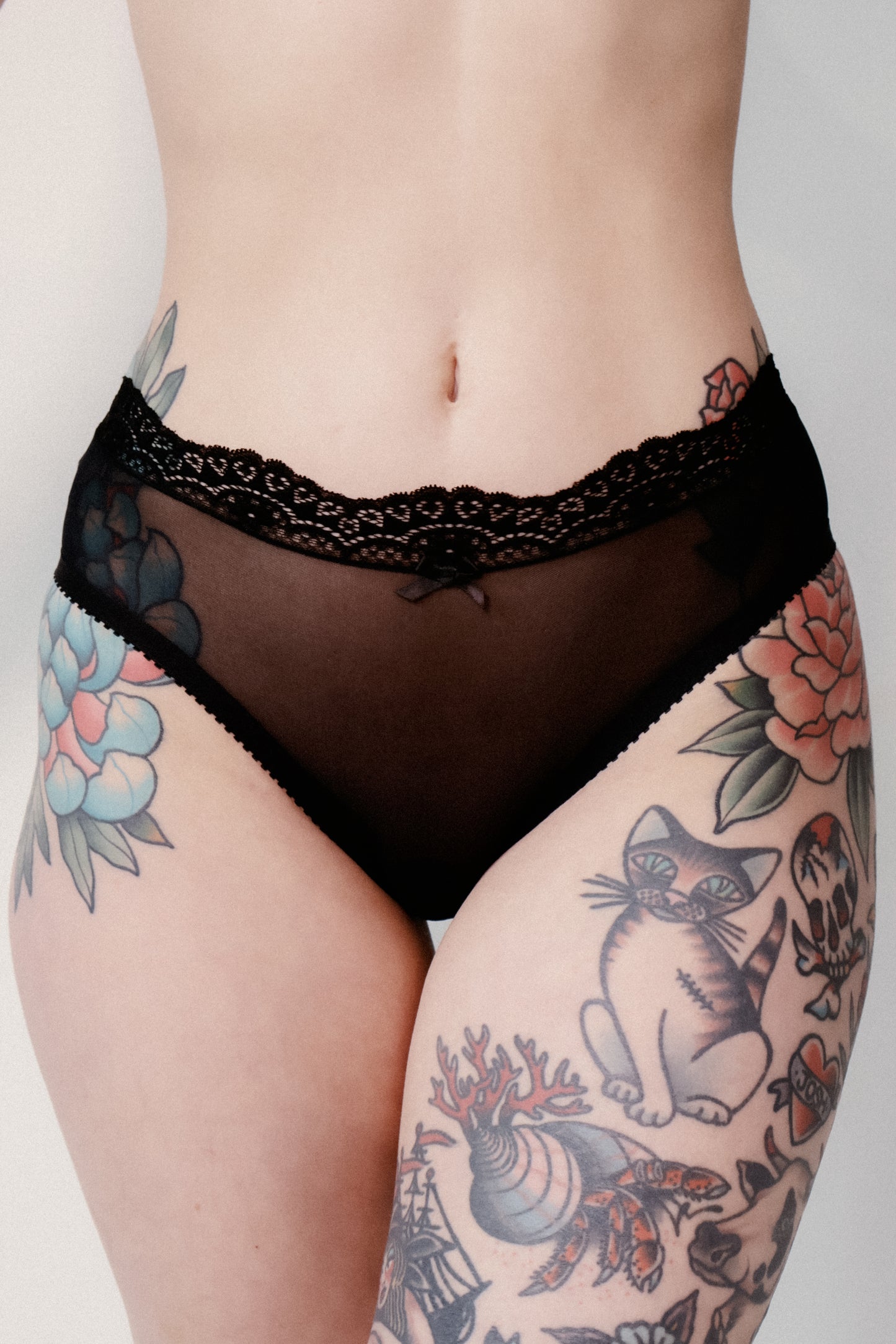 Sylvie Knickers Mesh with Lace Trim